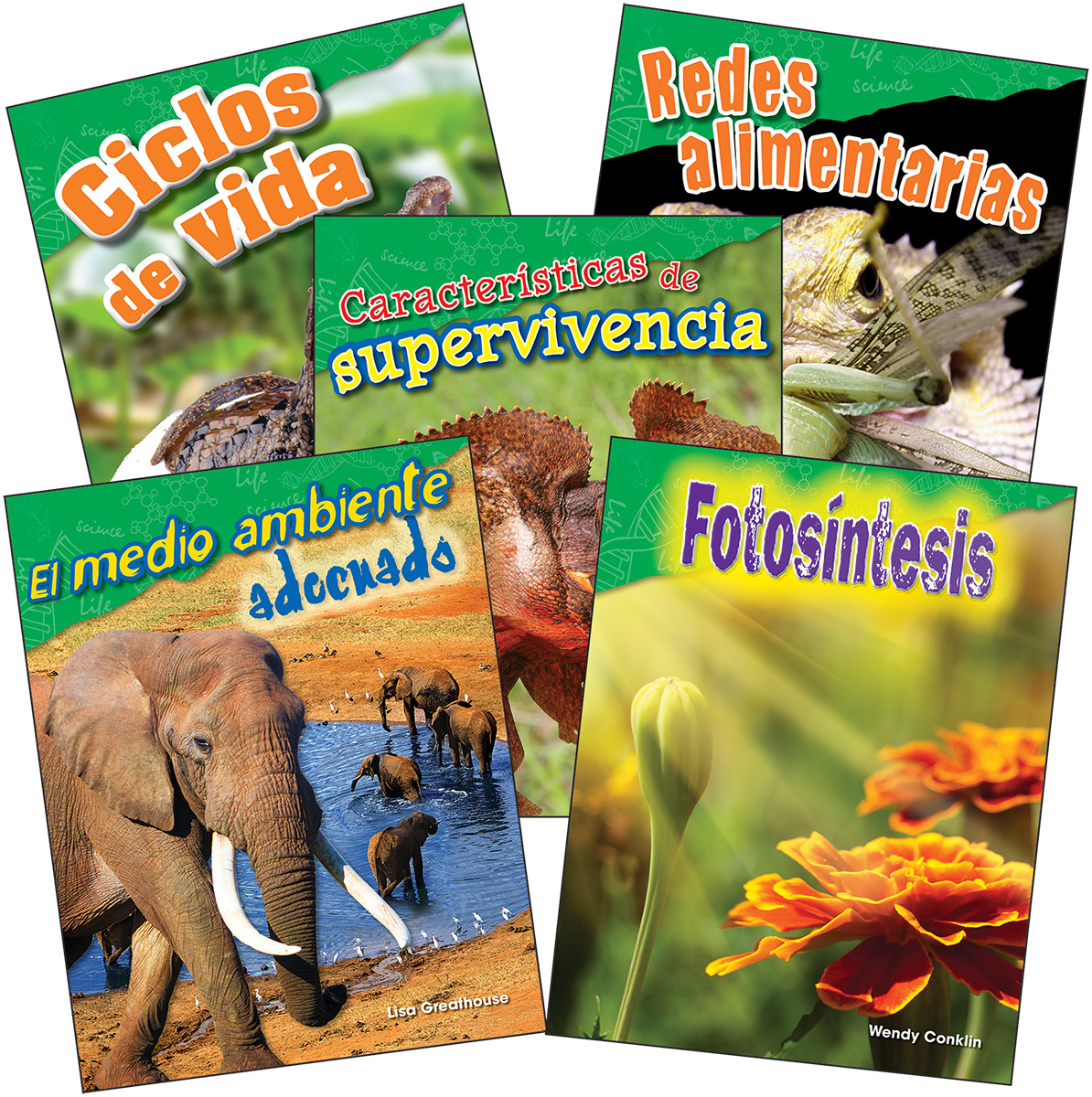 Life Science Grade 3 Spanish: 5-Book Set