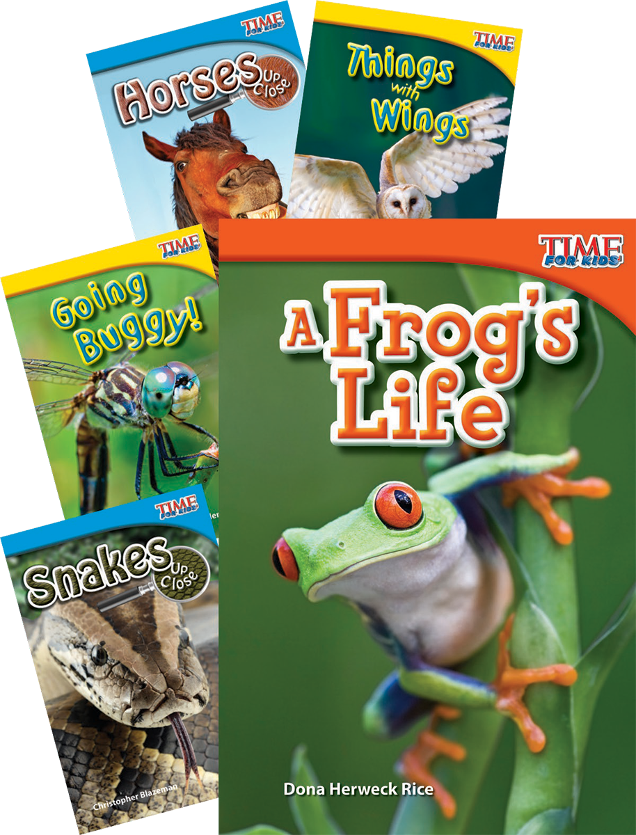 Museum Tour Time for Kids Animals Bundle